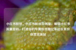小红书粉丝，小红书粉丝如何涨，解锁小红书流量密码，打造你的专属粉丝圈亿乐社区低价自营货源站