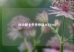 纯流量卡免费申请入口200g