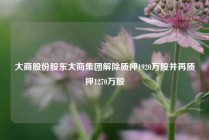 大商股份股东大商集团解除质押1920万股并再质押1270万股