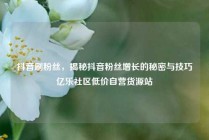 抖音刷粉丝，揭秘抖音粉丝增长的秘密与技巧亿乐社区低价自营货源站
