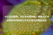 小红书点赞网，小红书点赞网址，揭秘小红书点赞背后的秘密亿乐社区低价自营货源站