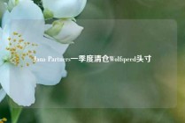 Jana Partners一季度清仓Wolfspeed头寸