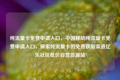 纯流量卡免费申请入口，中国移动纯流量卡免费申请入口	，探索纯流量卡的免费获取渠道亿乐社区低价自营货源站  第1张