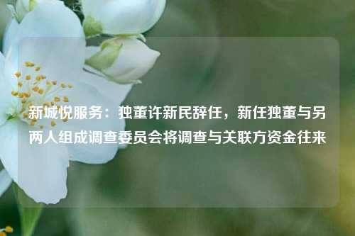 新城悦服务：独董许新民辞任	，新任独董与另两人组成调查委员会将调查与关联方资金往来  第1张