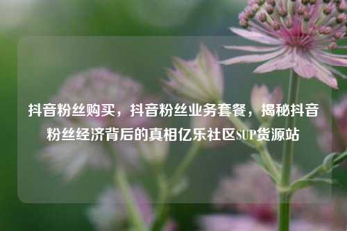 抖音粉丝购买	，抖音粉丝业务套餐，揭秘抖音粉丝经济背后的真相亿乐社区SUP货源站  第1张