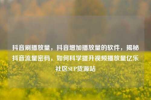 抖音刷播放量，抖音增加播放量的软件	，揭秘抖音流量密码，如何科学提升视频播放量亿乐社区SUP货源站  第1张