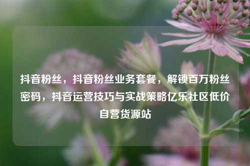 抖音粉丝，抖音粉丝业务套餐，解锁百万粉丝密码	，抖音运营技巧与实战策略亿乐社区低价自营货源站  第1张