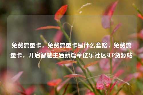 免费流量卡，免费流量卡是什么套路，免费流量卡	，开启智慧生活新篇章亿乐社区SUP货源站  第1张