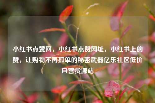 小红书点赞网	，小红书点赞网址，小红书上的赞，让购物不再孤单的秘密武器亿乐社区低价自营货源站  第1张