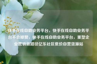 快手在线自助业务平台，快手在线自助业务平台不会掉赞，快手在线自助业务平台，重塑企业营销新路径亿乐社区低价自营货源站