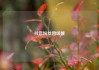 抖音粉丝团级数
