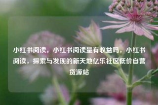 小红书阅读，小红书阅读量有收益吗，小红书阅读，探索与发现的新天地亿乐社区低价自营货源站