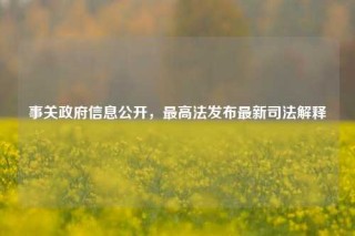 事关政府信息公开，最高法发布最新司法解释