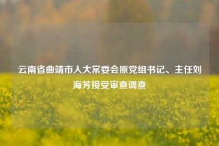 云南省曲靖市人大常委会原党组书记、主任刘海芳接受审查调查