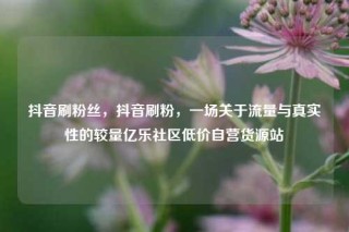 抖音刷粉丝，抖音刷粉，一场关于流量与真实性的较量亿乐社区低价自营货源站