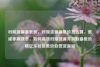 对接货源最低价，对接货源最低价怎么算，低成本高效率，如何高效对接货源并获取最低价格亿乐社区低价自营货源站