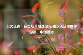东吴证券：新型烟草增速领先 建议关注思摩尔国际、中烟香港