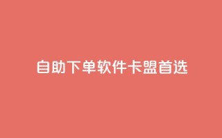 自助下单软件——卡盟首选