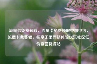 流量卡免费领取，流量卡免费领取中国电信，流量卡免费领，畅享无限网络体验亿乐社区低价自营货源站