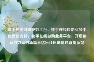 快手在线自助业务平台，快手在线自助业务平台微信支付，快手在线自助业务平台，开启创新与效率的新篇章亿乐社区低价自营货源站