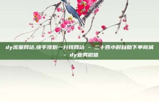 dy流量网站,快手涨粉一分钱网站 - 二十四小时自助下单商城 - dy业务微信