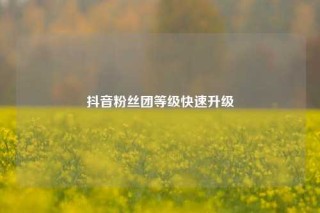 抖音粉丝团等级快速升级