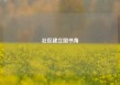 社区建立图书角