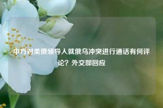 中方对美俄领导人就俄乌冲突进行通话有何评论？外交部回应