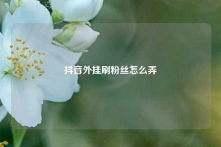 抖音外挂刷粉丝怎么弄