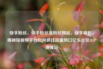 快手粉丝，快手粉丝涨粉丝网站，快手崛起，揭秘短视频平台如何抓住流量风口亿乐社区SUP货源站
