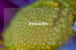 玖伍社区域名