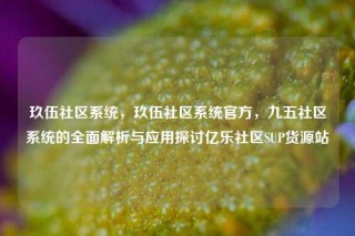 玖伍社区系统，玖伍社区系统官方，九五社区系统的全面解析与应用探讨亿乐社区SUP货源站