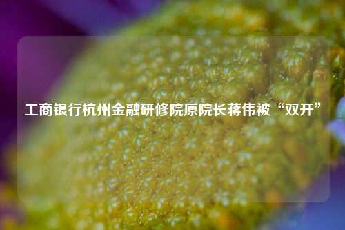工商银行杭州金融研修院原院长蒋伟被“双开”  第1张