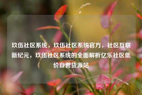 玖伍社区系统，玖伍社区系统官方，社区互联新纪元，玖伍社区系统的全面解析亿乐社区低价自营货源站  第1张