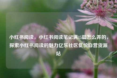 小红书阅读，小红书阅读笔记满15篇怎么弄的，探索小红书阅读的魅力亿乐社区低价自营货源站  第1张