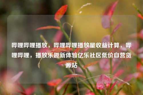 哔哩哔哩播放，哔哩哔哩播放量收益计算，哔哩哔哩，播放乐趣新体验亿乐社区低价自营货源站  第1张