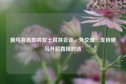 俄乌官员即将在土耳其会谈，外交部：支持俄乌开启直接对话  第1张