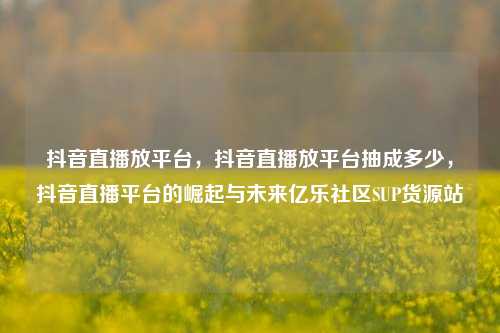 抖音直播放平台，抖音直播放平台抽成多少，抖音直播平台的崛起与未来亿乐社区SUP货源站  第1张