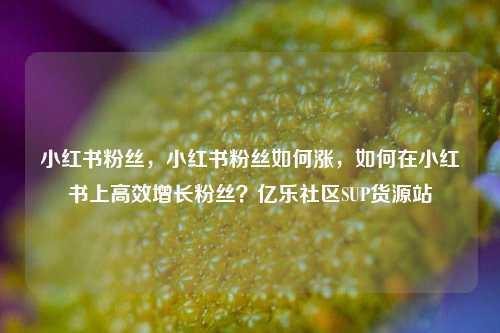 小红书粉丝，小红书粉丝如何涨，如何在小红书上高效增长粉丝？亿乐社区SUP货源站  第1张
