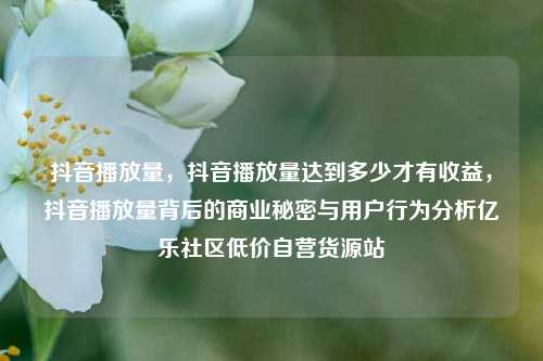 抖音播放量，抖音播放量达到多少才有收益，抖音播放量背后的商业秘密与用户行为分析亿乐社区低价自营货源站  第1张