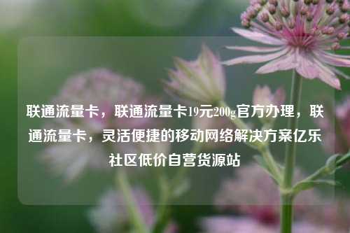 联通流量卡，联通流量卡19元200g官方办理，联通流量卡	，灵活便捷的移动网络解决方案亿乐社区低价自营货源站  第1张
