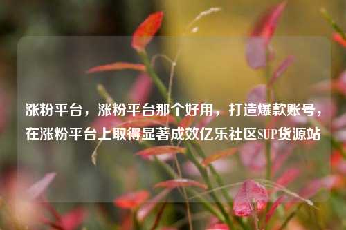 涨粉平台	，涨粉平台那个好用，打造爆款账号，在涨粉平台上取得显著成效亿乐社区SUP货源站  第1张