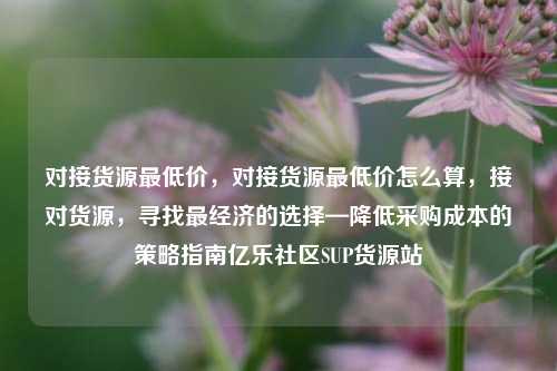 对接货源最低价	，对接货源最低价怎么算，接对货源，寻找最经济的选择—降低采购成本的策略指南亿乐社区SUP货源站  第1张