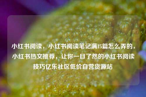 小红书阅读	，小红书阅读笔记满15篇怎么弄的，小红书热文推荐，让你一目了然的小红书阅读技巧亿乐社区低价自营货源站  第1张