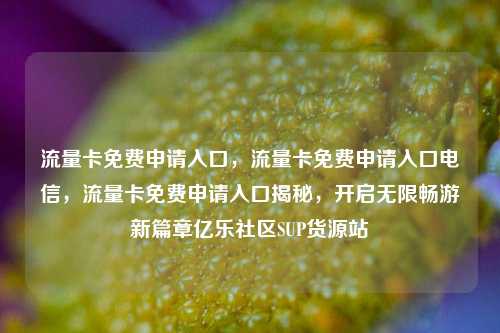 流量卡免费申请入口，流量卡免费申请入口电信	，流量卡免费申请入口揭秘，开启无限畅游新篇章亿乐社区SUP货源站  第1张