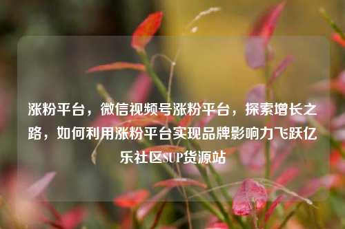 涨粉平台	，微信视频号涨粉平台，探索增长之路，如何利用涨粉平台实现品牌影响力飞跃亿乐社区SUP货源站  第1张