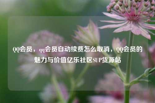 QQ会员，qq会员自动续费怎么取消	，QQ会员的魅力与价值亿乐社区SUP货源站  第1张