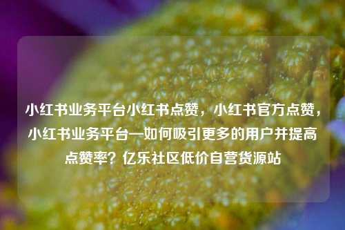 小红书业务平台小红书点赞，小红书官方点赞	，小红书业务平台—如何吸引更多的用户并提高点赞率？亿乐社区低价自营货源站  第1张