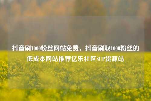 抖音刷1000粉丝网站免费，抖音刷取1000粉丝的低成本网站推荐亿乐社区SUP货源站  第1张