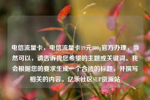 电信流量卡，电信流量卡19元200g官方办理，当然可以	，请告诉我您希望的主题或关键词	。我会根据您的要求生成一个合适的标题，并撰写相关的内容。亿乐社区SUP货源站  第1张